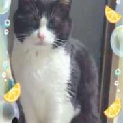 ヒメ日記 2025/05/01 19:18 投稿 千歳(ちとせ) 相模原人妻城