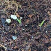 ヒメ日記 2025/05/02 14:03 投稿 千歳(ちとせ) 相模原人妻城