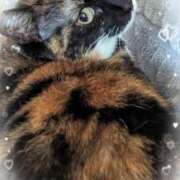 ヒメ日記 2025/05/08 18:03 投稿 千歳(ちとせ) 相模原人妻城