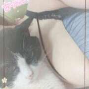 ヒメ日記 2025/06/03 21:18 投稿 千歳(ちとせ) 相模原人妻城