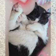 ヒメ日記 2025/06/12 11:48 投稿 千歳(ちとせ) 相模原人妻城