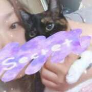 ヒメ日記 2025/07/03 20:06 投稿 千歳(ちとせ) 相模原人妻城