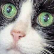 ヒメ日記 2025/07/05 17:18 投稿 千歳(ちとせ) 相模原人妻城