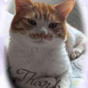 ヒメ日記 2025/07/06 12:03 投稿 千歳(ちとせ) 相模原人妻城