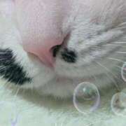 ヒメ日記 2025/07/14 07:48 投稿 千歳(ちとせ) 相模原人妻城