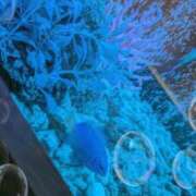 ヒメ日記 2026/02/26 14:33 投稿 千歳(ちとせ) 相模原人妻城