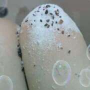 ヒメ日記 2026/03/03 15:33 投稿 千歳(ちとせ) 相模原人妻城