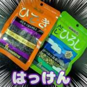 ヒメ日記 2026/03/30 08:33 投稿 千歳(ちとせ) 相模原人妻城