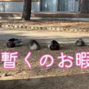 りん ＼お暇入ります／ ちゃんこ長野塩尻北IC店