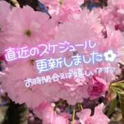 ヒメ日記 2026/04/25 20:31 投稿 りん ちゃんこ長野塩尻北IC店