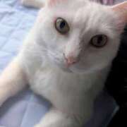 ヒメ日記 2025/08/13 23:23 投稿 いちか 府中ダービー