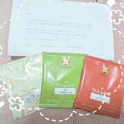 ヒメ日記 2025/10/14 20:53 投稿 いちか 府中ダービー