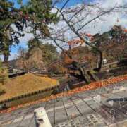 ヒメ日記 2025/11/12 20:29 投稿 いちか 府中ダービー