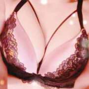 ヒメ日記 2025/04/02 14:31 投稿 らいと Mrs Sirena（ミセスシレナ）