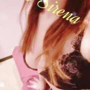 ヒメ日記 2025/06/03 00:31 投稿 らいと Mrs Sirena（ミセスシレナ）