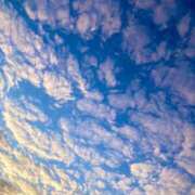 ヒメ日記 2025/08/14 09:32 投稿 らいと Mrs Sirena（ミセスシレナ）