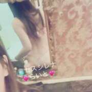 ヒメ日記 2025/11/28 21:31 投稿 らいと Mrs Sirena（ミセスシレナ）