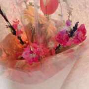 ヒメ日記 2026/02/12 11:28 投稿 らいと Mrs Sirena（ミセスシレナ）