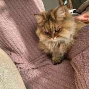 ヒメ日記 2025/12/13 02:43 投稿 あり ラブライフ所沢川越