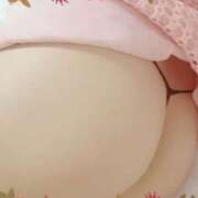 ヒメ日記 2024/11/14 12:14 投稿 レオ GooGoo ～グーグー～