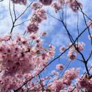 ヒメ日記 2026/03/23 11:02 投稿 まなか スピードエコ難波店