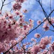 ヒメ日記 2026/04/06 17:12 投稿 まなか スピードエコ難波店