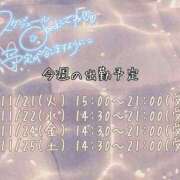 ヒメ日記 2023/11/20 11:59 投稿 なお 素人巨乳ちゃんこ「東千葉店」