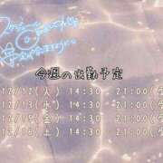 ヒメ日記 2023/12/11 15:22 投稿 なお 素人巨乳ちゃんこ「東千葉店」