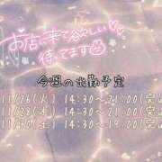 ヒメ日記 2024/11/25 23:55 投稿 なお 素人巨乳ちゃんこ「東千葉店」