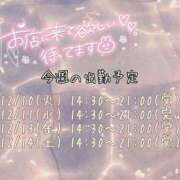 ヒメ日記 2024/12/09 19:44 投稿 なお 素人巨乳ちゃんこ「東千葉店」