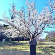 ヒメ日記 2026/03/12 20:28 投稿 なお 素人巨乳ちゃんこ「東千葉店」