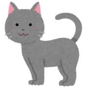 ヒメ日記 2025/02/24 15:00 投稿 こはる☆ CLUB PIAA