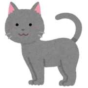 ヒメ日記 2025/02/24 15:16 投稿 こはる☆ CLUB PIAA