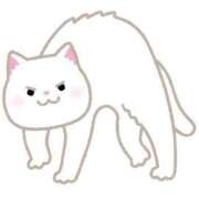 ヒメ日記 2025/03/06 15:46 投稿 こはる☆ CLUB PIAA