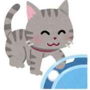 ヒメ日記 2025/03/18 11:00 投稿 こはる☆ CLUB PIAA