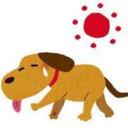 ヒメ日記 2025/05/20 14:01 投稿 こはる☆ CLUB PIAA