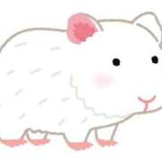 ヒメ日記 2025/06/17 01:00 投稿 こはる☆ CLUB PIAA