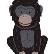 ヒメ日記 2025/07/04 22:01 投稿 こはる☆ CLUB PIAA