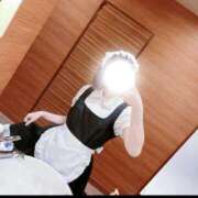 ヒメ日記 2025/11/23 19:00 投稿 こはる☆ CLUB PIAA