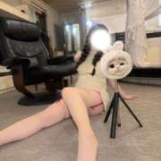 ヒメ日記 2026/04/17 01:00 投稿 こはる☆ CLUB PIAA