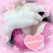 ヒメ日記 2025/03/31 10:47 投稿 みずき 奥様さくら難波店