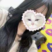 ヒメ日記 2025/04/09 20:14 投稿 JOY GINGIRA☆TOKYO～ギンギラ東京～