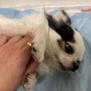 ヒメ日記 2025/04/15 14:45 投稿 中村しずか エマーブル