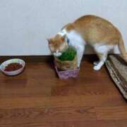 ヒメ日記 2025/06/02 10:29 投稿 河合　響(かわいひびき) 九州熟女　熊本店