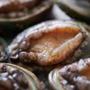 ヒメ日記 2026/02/09 09:06 投稿 河合　響(かわいひびき) 九州熟女　熊本店