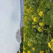 ヒメ日記 2026/04/24 11:59 投稿 ののか バツグ～ン