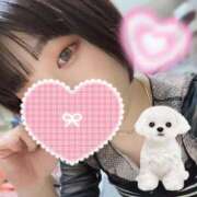 ヒメ日記 2025/08/09 11:04 投稿 しほ ニュー姫