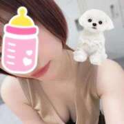 ヒメ日記 2025/10/23 13:24 投稿 しほ ニュー姫