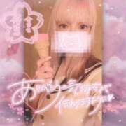 ヒメ日記 2024/12/11 11:43 投稿 いろは ピュアコス学園