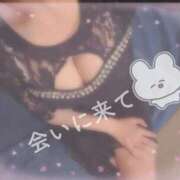 ヒメ日記 2025/11/09 15:01 投稿 いろは ピュアコス学園